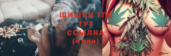 гидра Аркадак