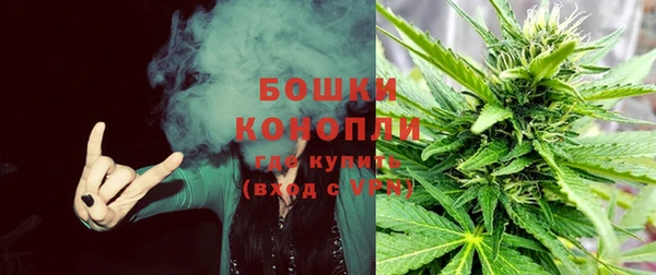 гидра Аркадак