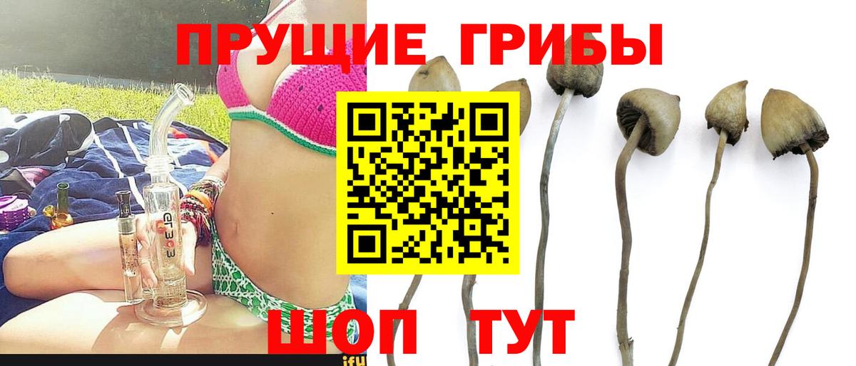 Галлюциногенные грибы GOLDEN TEACHER Лянтор