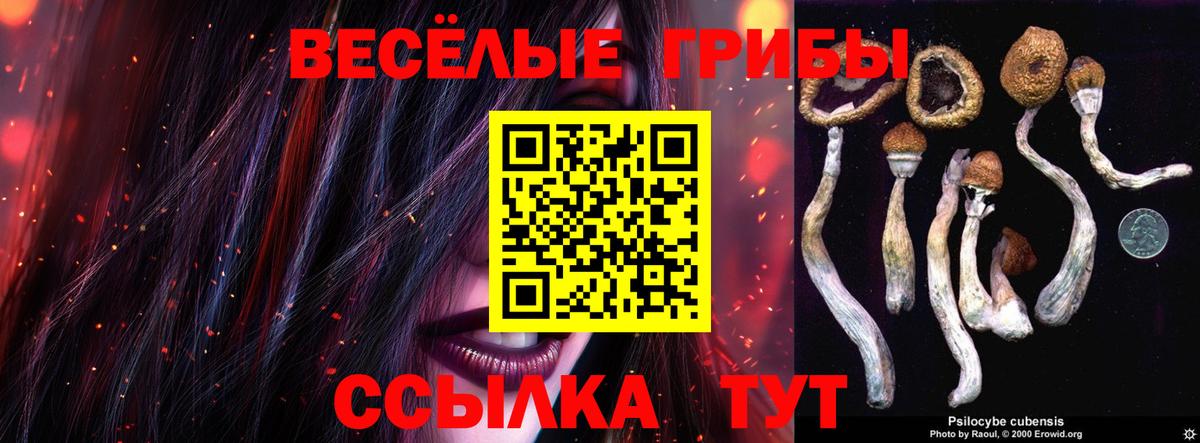 Лянтор  Галлюциногенные грибы Psilocybine cubensis  Вход с VPN 